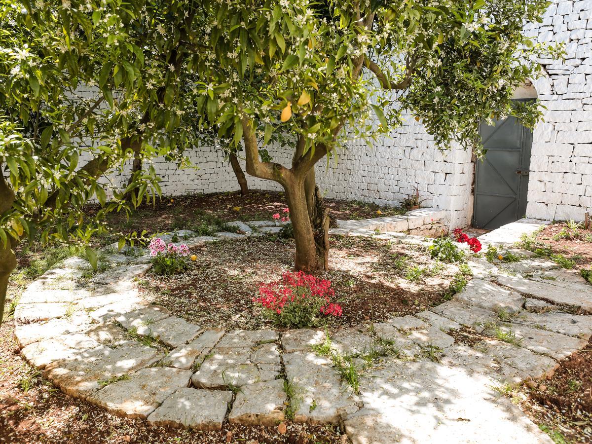 Appartement La Collina Degli Ulivi à Fasano Extérieur photo